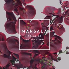 MARSALA, EL COLOR DE 2015